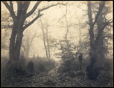 Fontainebleau. Forest at Barbizon, ca 1860. Creator: Cuvelier, Eugène (1837-1900).