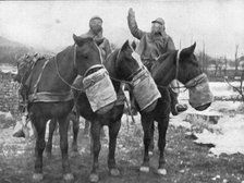 'Les precautions contre les gaz; Les chevaux ont aussi leur appareil special', 1917. Creator: Unknown.