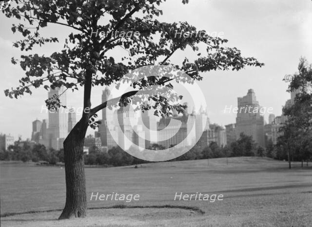 New York City views, Central Park, between 1931 and 1938. Creator: Arnold Genthe.
