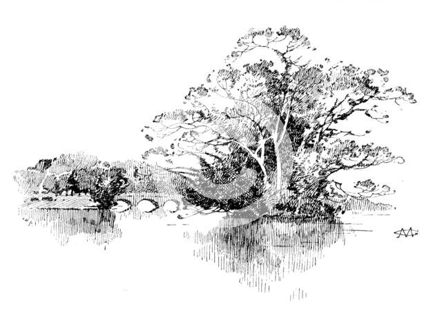 Eastwell Park: the Lake, 1895. Creator: Unknown.