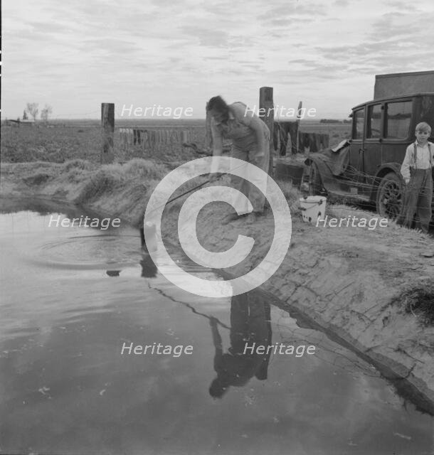 Water supply, California squatter camp near Calipatria, California, 1937. Creator: Dorothea Lange.