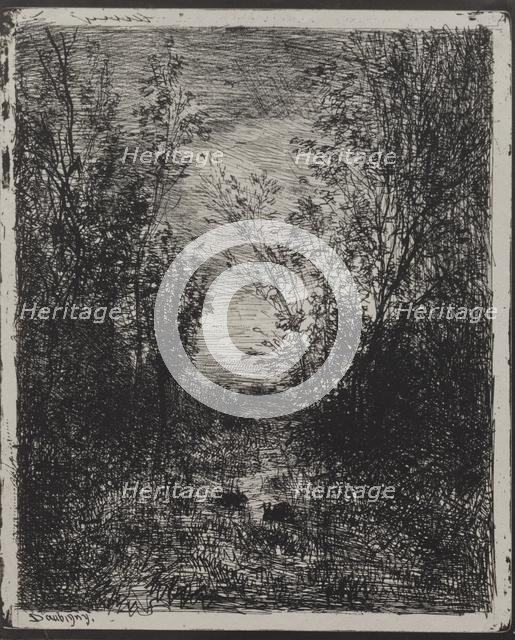 A Stream in a Glade, original impression 1862, printed in 1921. Creator: Charles François Daubigny (French, 1817-1878).