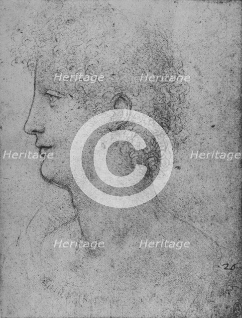 'Profile to the Left of a Curly-Headed Youth', c1480 (1945). Artist: Leonardo da Vinci.
