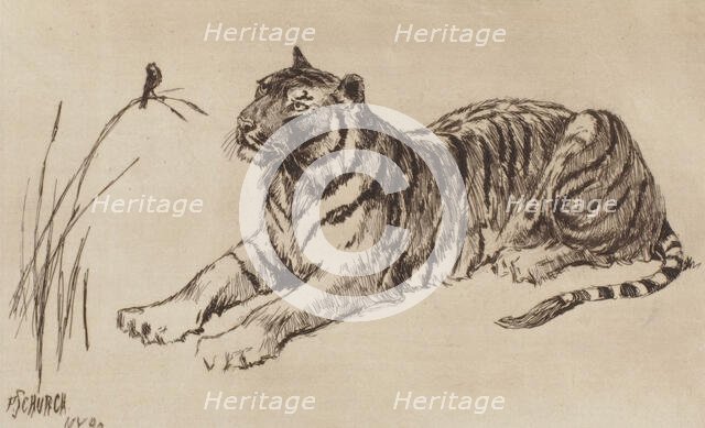 Tiger and Bird, 1892. Creator: Frederick Stuart Church.