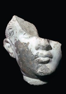 Marble head of a youth. Artist: Unknown