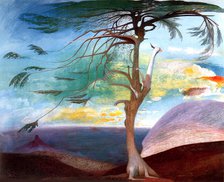 The Lonely Cedar, 1907. Creator: Kosztka Csontváry, Tivadar (1853-1919).