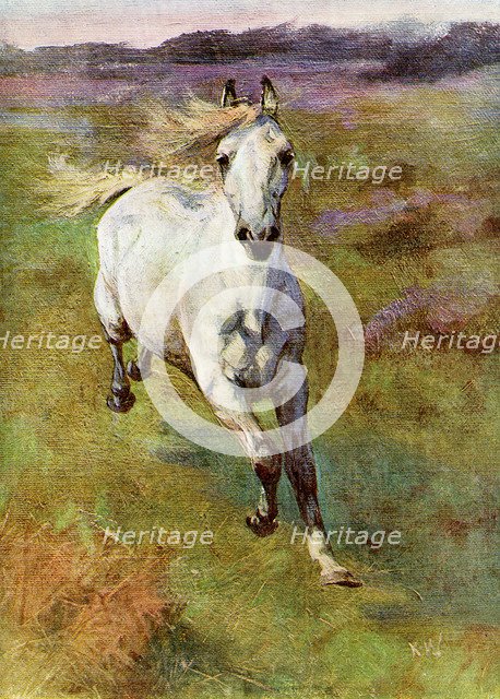 'Study from Life for 'Colt Hunting in the New Forest'', 1899. Artist: Unknown