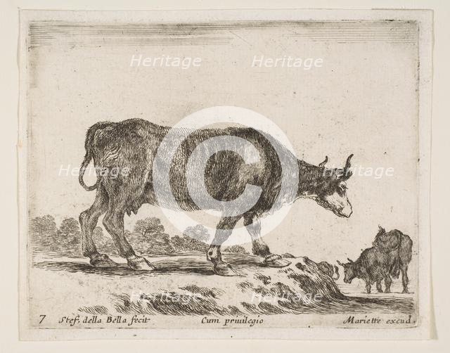 Plate 7: ox, from 'Various animals' (Diversi animali), ca. 1641. Creator: Stefano della Bella.