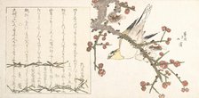 Bush Warbler on a Plum Branch (Ume ni uguisu), early 19th century. Creator: Totoya Hokkei.