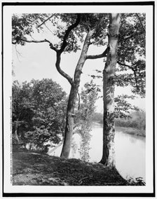 Wabash River from Tecumseh's Trail, Tippecanoe battleground, Ind., c1902. Creator: Unknown.