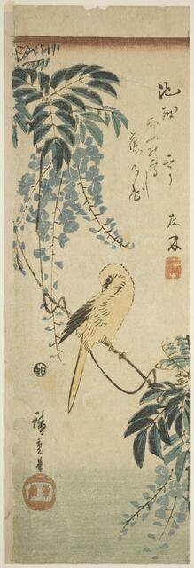 Canary and wisteria, c. 1843/47. Creator: Ando Hiroshige.