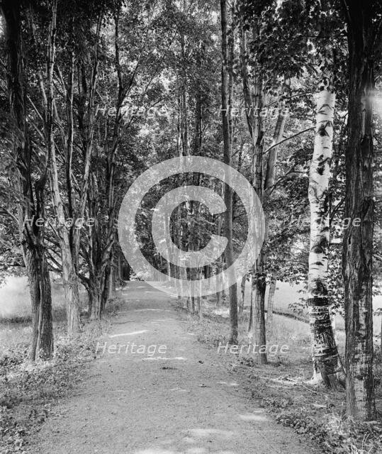 Shady path, Mount Holyoke College, South Hadley,Mass., c1908. Creator: William H. Jackson.