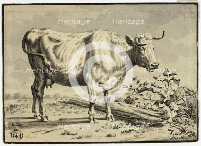 Cow, n.d. Creator: Unknown.