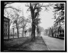 Oglethorpe Avenue, Savannah, Ga., c1900. Creator: Unknown.