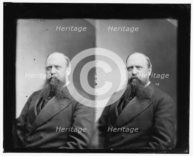 Professor O.C. Marsh of Connecticut, between 1865 and 1880. Creator: Unknown.