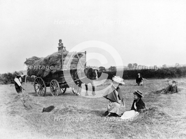 Haymaking, Clifton, Nottinghamshire, 1895. Artist: Unknown