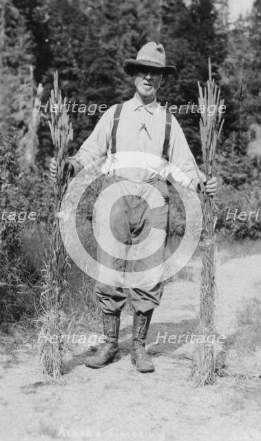 Mr. Johnson holding stalks of timothy, 1916. Creator: Unknown.