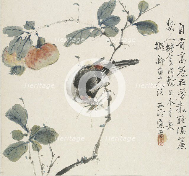 A Chinese Hwamei eating a grasshopper, 1857. Artist: Jin Yuan.