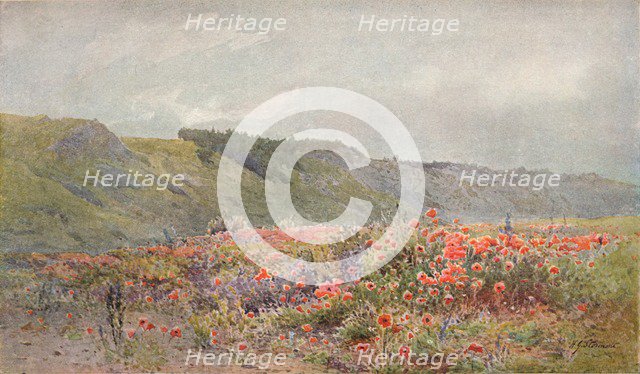 The Valley of Poppies, c1879-1903, (1903). Artist: Howard Gull Stormont