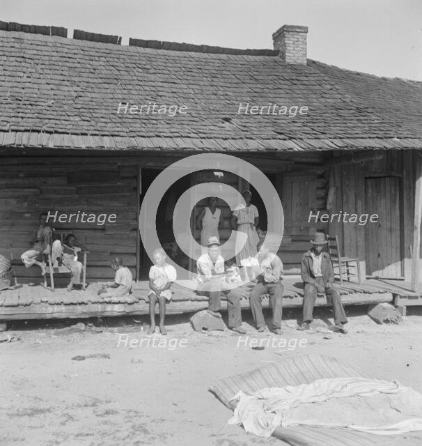 Tobacco farms, like Southern cotton farms, carry a heavy surplus..., near Tifton, Georgia, 1938. Creator: Dorothea Lange.