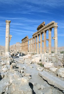 Upper Colonnade Street, Palmyra, Syria. 