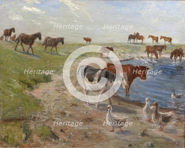 Calves and Geese at a Wateringhole on the Island of Saltholm, 1911. Creator: Theodor Esbern Philipsen.