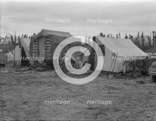 In one of the largest pea camps in California, 1936. Creator: Dorothea Lange.