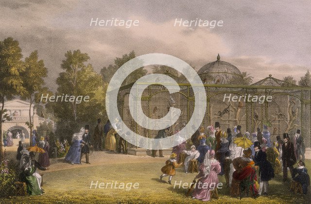 The Monkey House at the Zoological Gardens, Regent's Park, London, 1835.  Artist: George Scharf