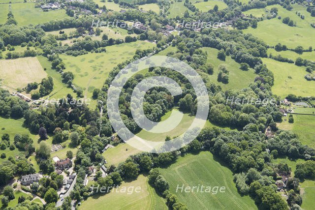 Wild gardens to Warley Place, Essex, 2018. Creator: Historic England.