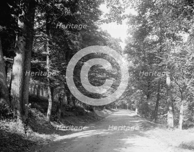 Sleepy Hollow road, Tarrytown, N.Y., c.between 1910 and 1920. Creator: Unknown.