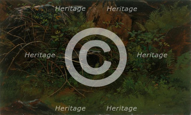 Study from Nature. Creator: William Stanley Haseltine.