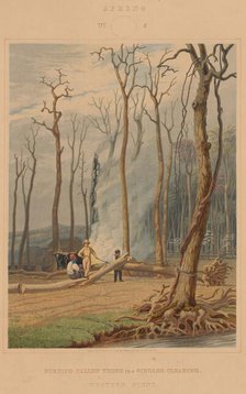 Spring--Burning Fallen Trees in a Girdled Clearing. Western Scene, 1841. Creator: William James Bennett.