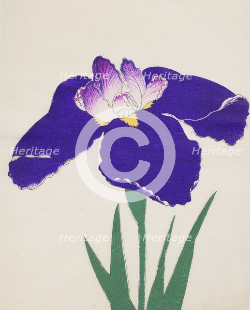 Koshikibu, No. 72, 1890, (colour woodblock print)