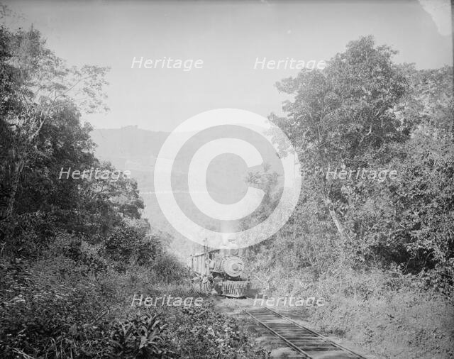 Train in Cafetal of Temasopa [sic], between 1880 and 1897. Creator: William H. Jackson.