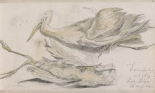 Dead Heron, 1864. Creator: Johannes Tavenraat.