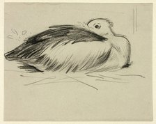 Sketch of Nesting Stork, n.d. Creator: Henry Stacy Marks.