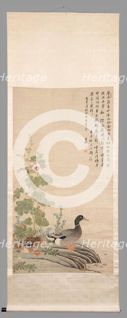 Ducks and hollyhocks, between 1912 and 1949. Creator: Unknown.