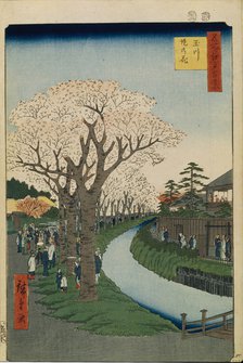 Cherry Blossoms on the Banks of the Tama River (One Hundred Famous Views of Edo), 1856-1858. Artist: Hiroshige, Utagawa (1797-1858)