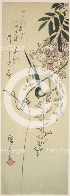 Bird on wisteria, n.d. Creator: Ando Hiroshige.