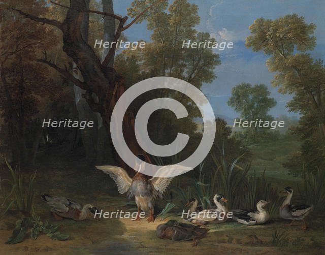 Ducks Resting in Sunshine, 1753. Creator: Jean-Baptiste Oudry.