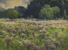 Field of Joe Pie Weeds (Pride of the Meadow), n.d. Creator: William Henry Holmes.