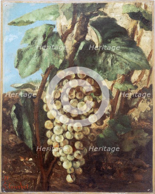 Grappe de raisins, 1871. Creator: Gustave Courbet.