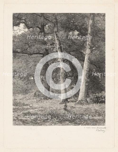 A Forest Clearing. Creator: Karl Bodmer.