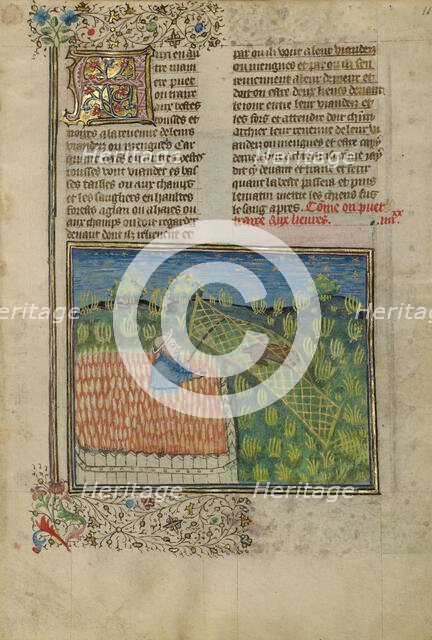 Hunters Netting a Hare; Livre de la Chasse, about 1430-1440. Creator: Unknown.