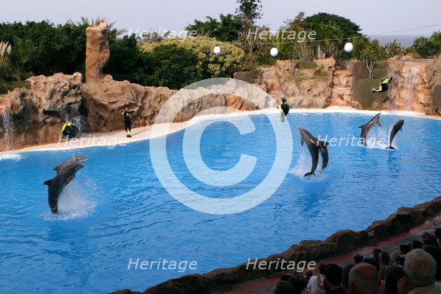 Dolphin show, Loro Parque, Tenerife, Canary Islands, 2007.