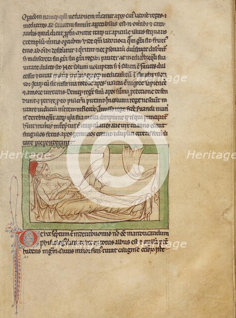 A Caladrius; Northumberland Bestiary, about 1250-1260. Creator: Unknown.