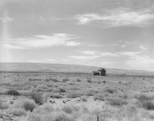 Abandoned dry land farm in the Columbia Basin, South of Quincy, Grant County, Washington, 1939. Creator: Dorothea Lange.