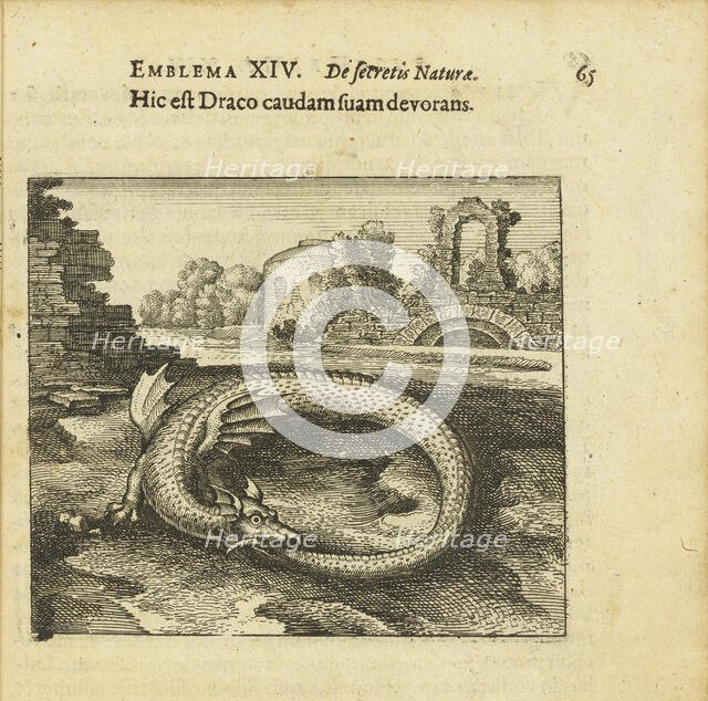 Emblem 14. This is the dragon eating its own tail. From "Atalanta fugiens" by Michael Maier, 1618. Creator: Merian, Matthäus, the Elder (1593-1650).