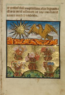 Five Bunches of Flowers, about 1190-1200; text added about 1480-1490. Creator: Unknown.