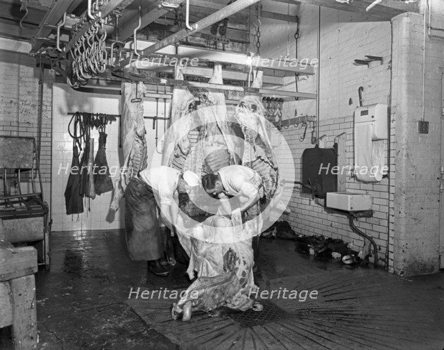 Butchery factory, Rawmarsh, South Yorkshire, 1955.  Artist: Michael Walters
